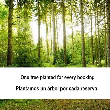 Willa Fidalsa White House Premium Tángel