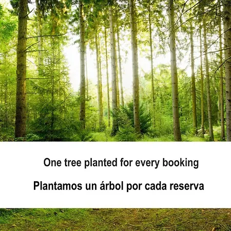 Fidalsa White House Premium Tángel